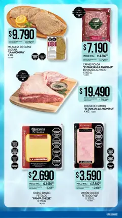 Vista previa La Anonima catálogo válido desde el 15.01.2026 | Página: 2 | Productos: Milanesa, Jamón cocido, Queso, Planta