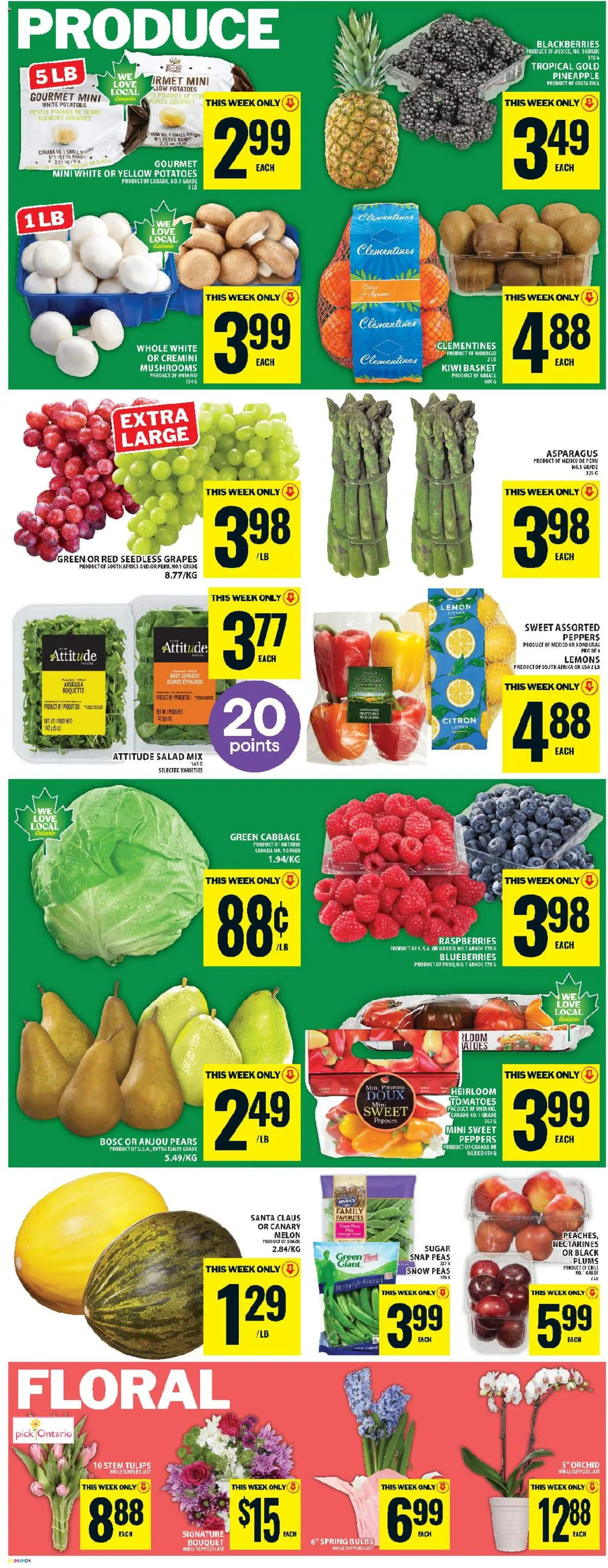 Food Basics flyer valid from 19.02.2026 | Page: 7 | Products: Pineapple, Kiwi, Basket, Tomatoes