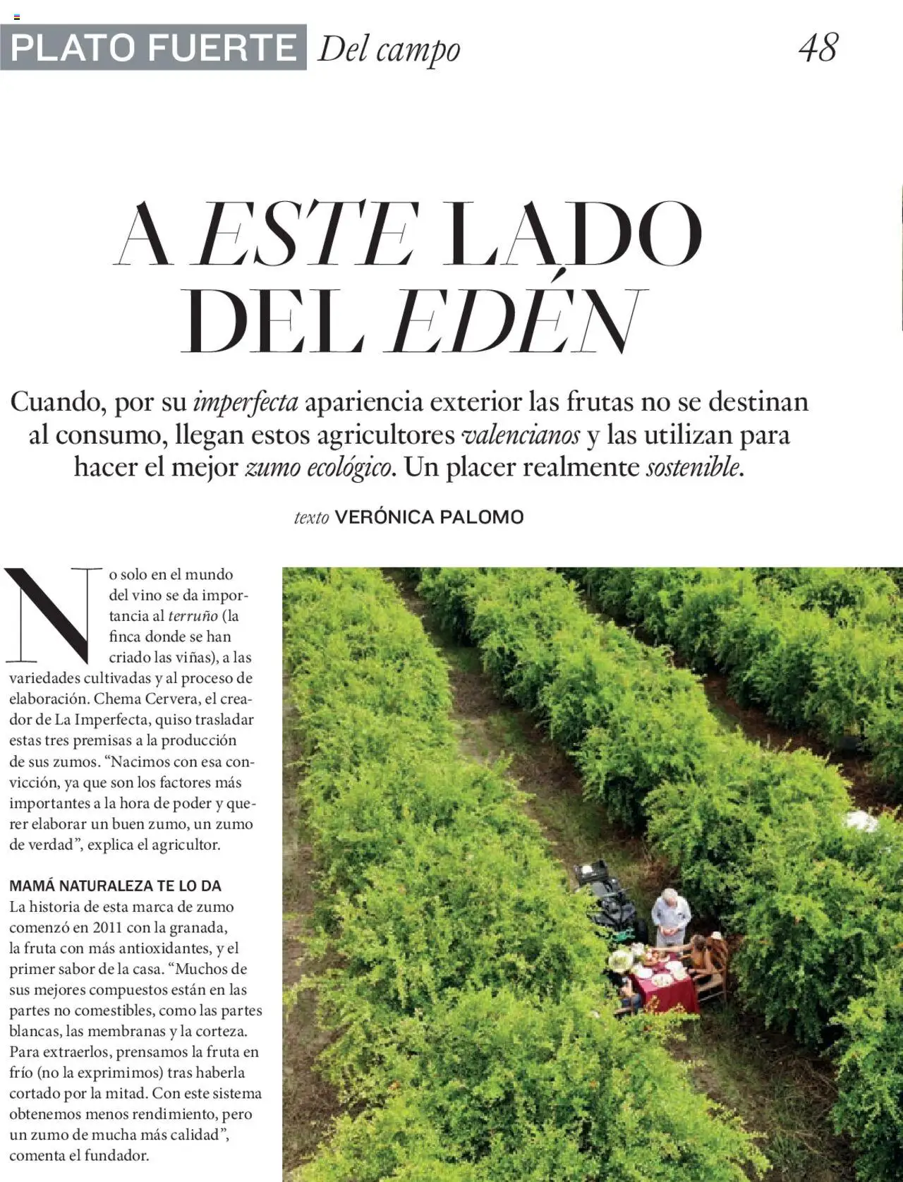 Nuevas ofertas de El Corte Inglés válidas en toda la República Mexicana desde el 27.06.2025. ¡Encuentra las mejores ofertas en El Corte Inglés Gourmet Magazin! | Página: 48 | Productos: Vino, Té