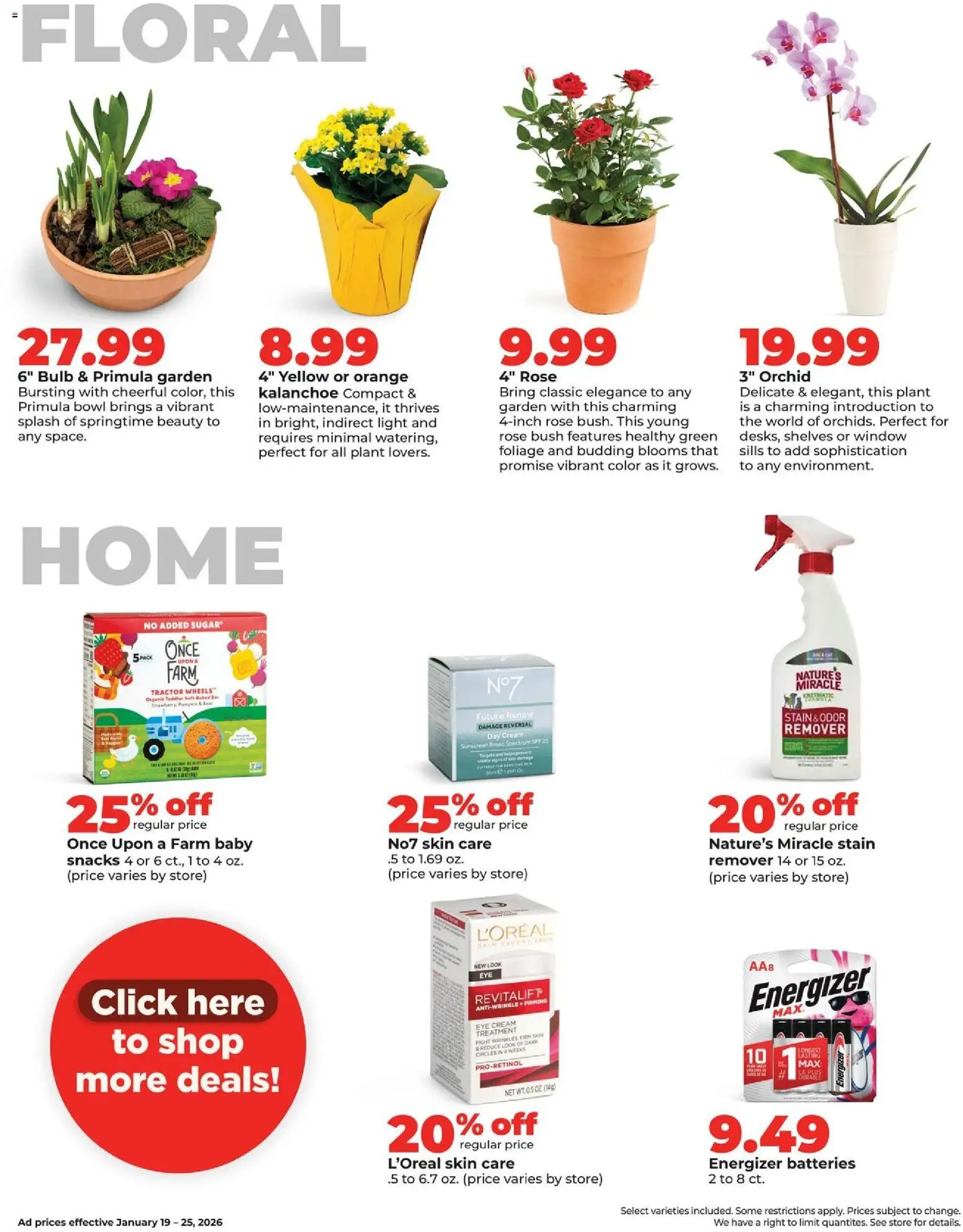 HyVee Weekly Ad - valid from 19.01.2026 | Page: 33 | Products: Eye Cream, Cream, Pumpkin