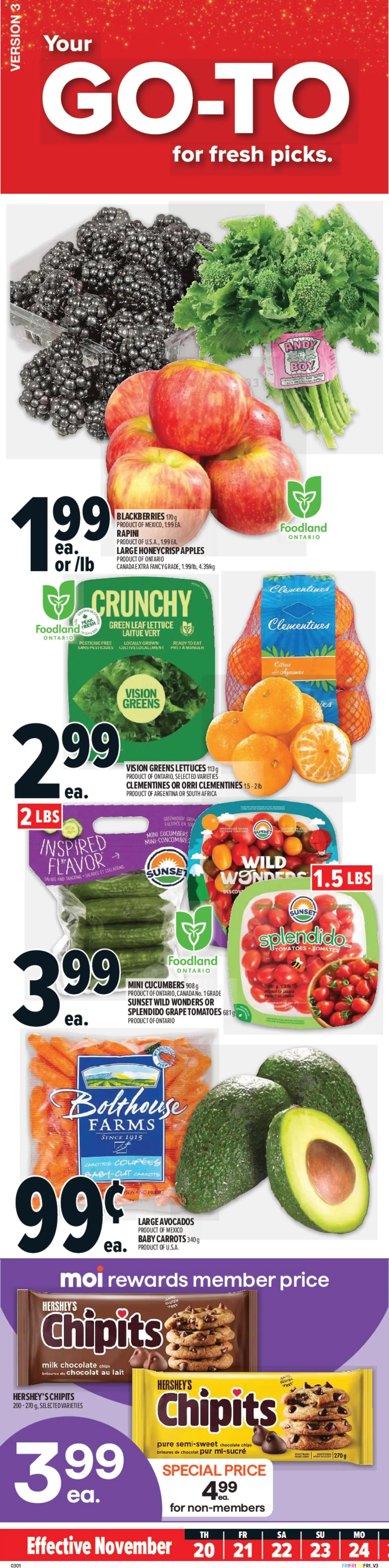 Metro flyer valid from 20.11.2025 | Page: 1 | Products: Cucumbers, Milk, Apples, Tomatoes