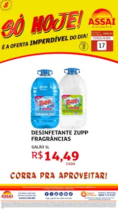 Assaí Atacadista ofertas - GO - Pré-Visualização do folheto da loja Assaí Atacadista, válido de 17.03.2026