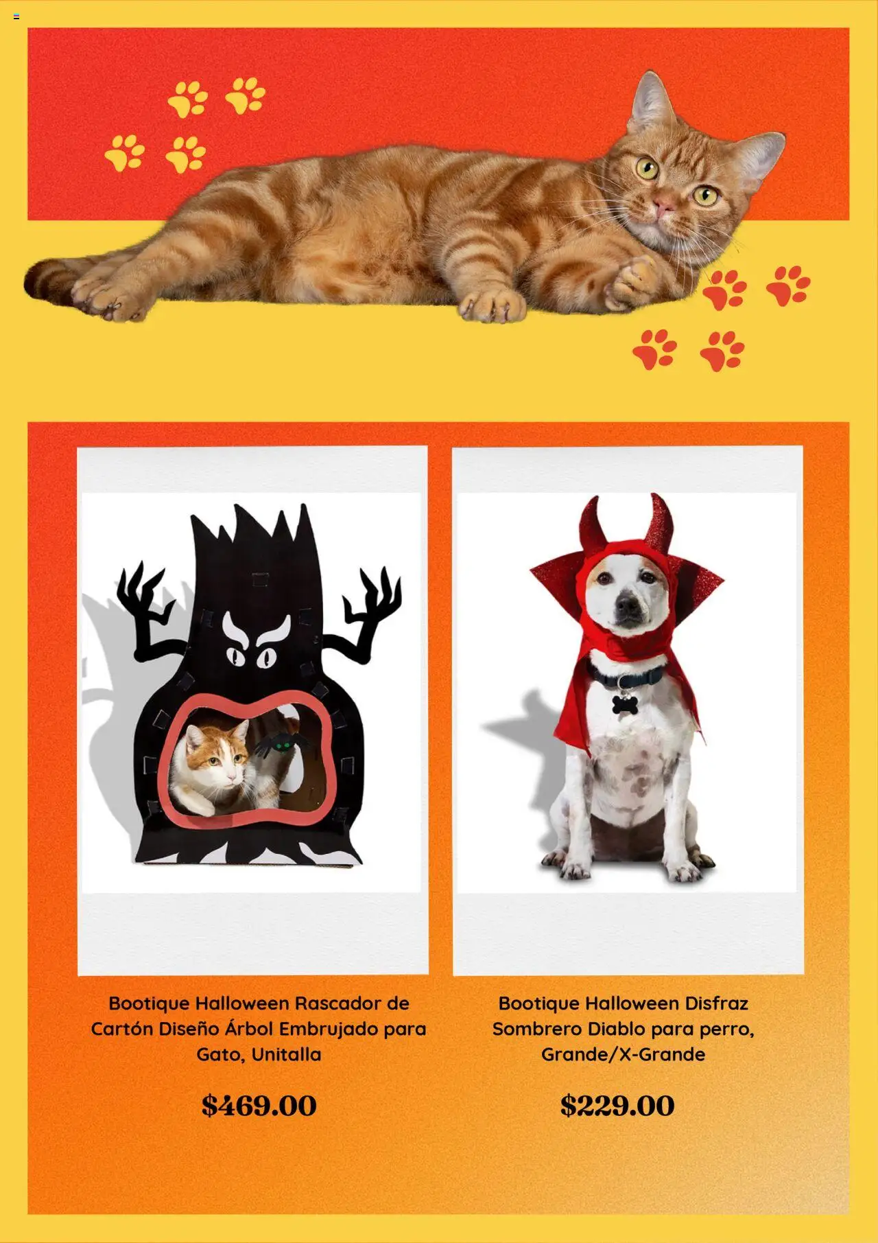 Nuevas ofertas de PetCo válidas en toda la República Mexicana desde el 06.10.2025. ¡Encuentra las mejores ofertas en PetCo - Catálogo! | Página: 4 | Productos: Sombrero