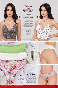 Vista previa de folleto Azzorti - Black Friday de la Azzorti válido desde 03.11.2025 | Página: 60 | Productos: Té