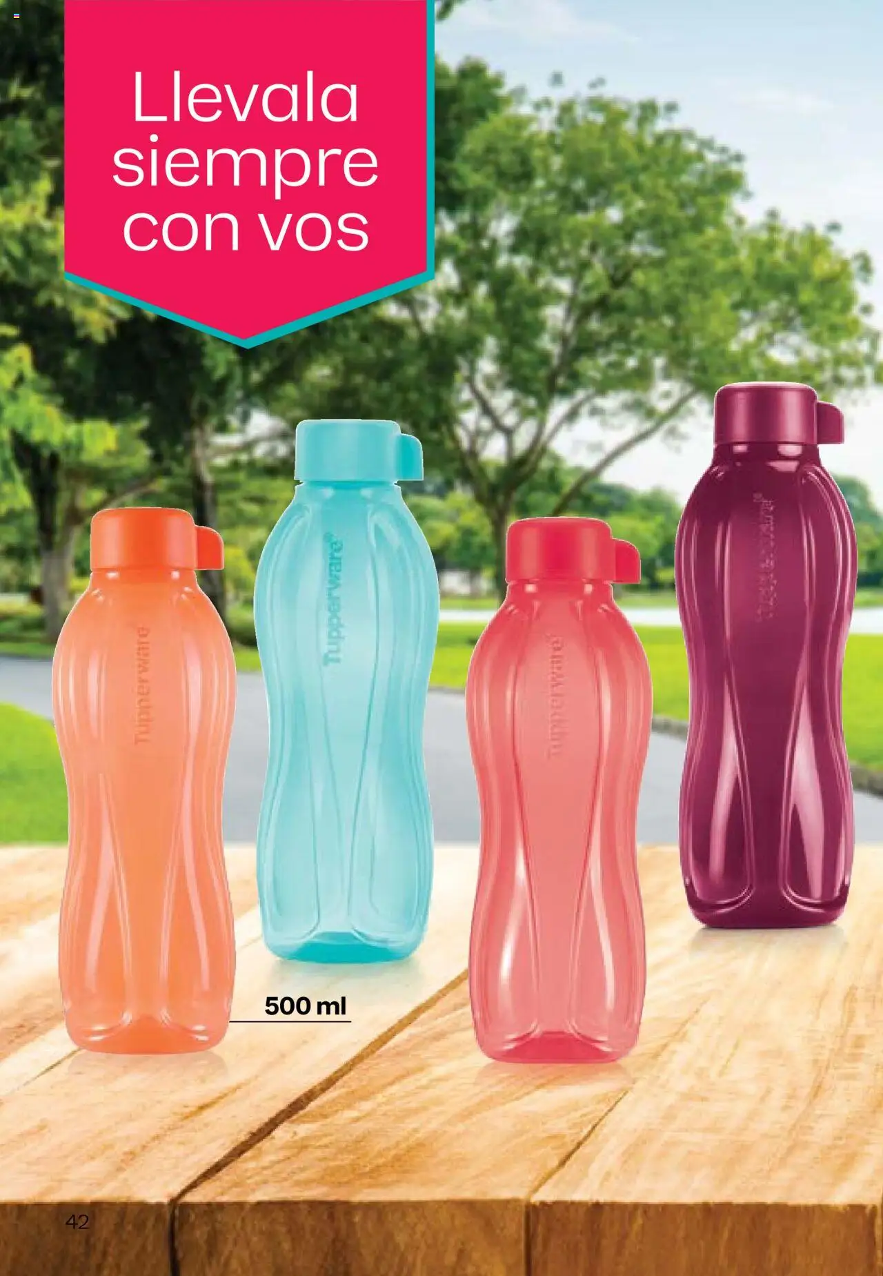 Tupperware Folleto │ válido desde el 11.08.2025 | Página: 43