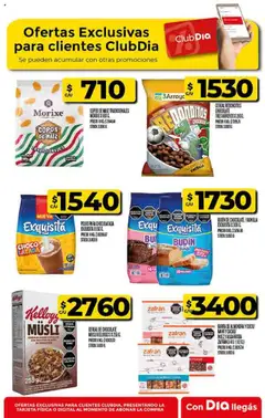 Supermercado DIA Ofertas │ válido desde el 20.08.2025 | Página: 44