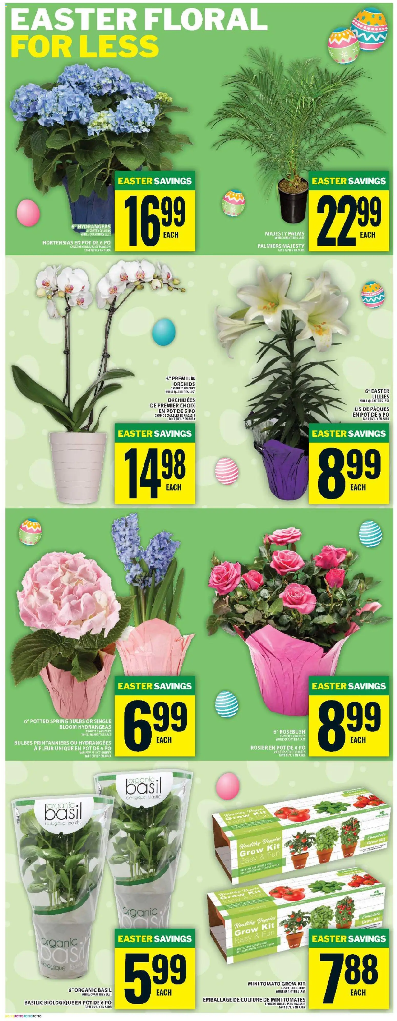 Food Basics flyer valid from 26.03.2026 | Page: 10