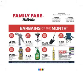 Preview of Family Fare weekly ads valid from 01.03.2026 | Page: 4 | Products: Sealant, Zinc, Shovel, Tv