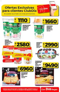 Vista previa Dia - Ofertas - Salta y Jujuy válido desde el 17.12.2025 | Página: 43 | Productos: Yogur, Pizza, Cereales