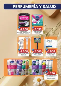 Letak Cugat válido desde el 09.02.2026 | Página: 35 | Productos: Arándanos, Toallas, Jabón, Jabón líquido