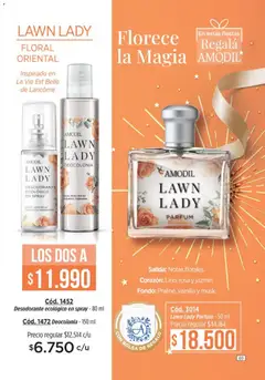 Vista previa Amodil - Campaña 18/2025 válido desde el 30.11.2025 | Página: 69 | Productos: Bolsa, Desodorante