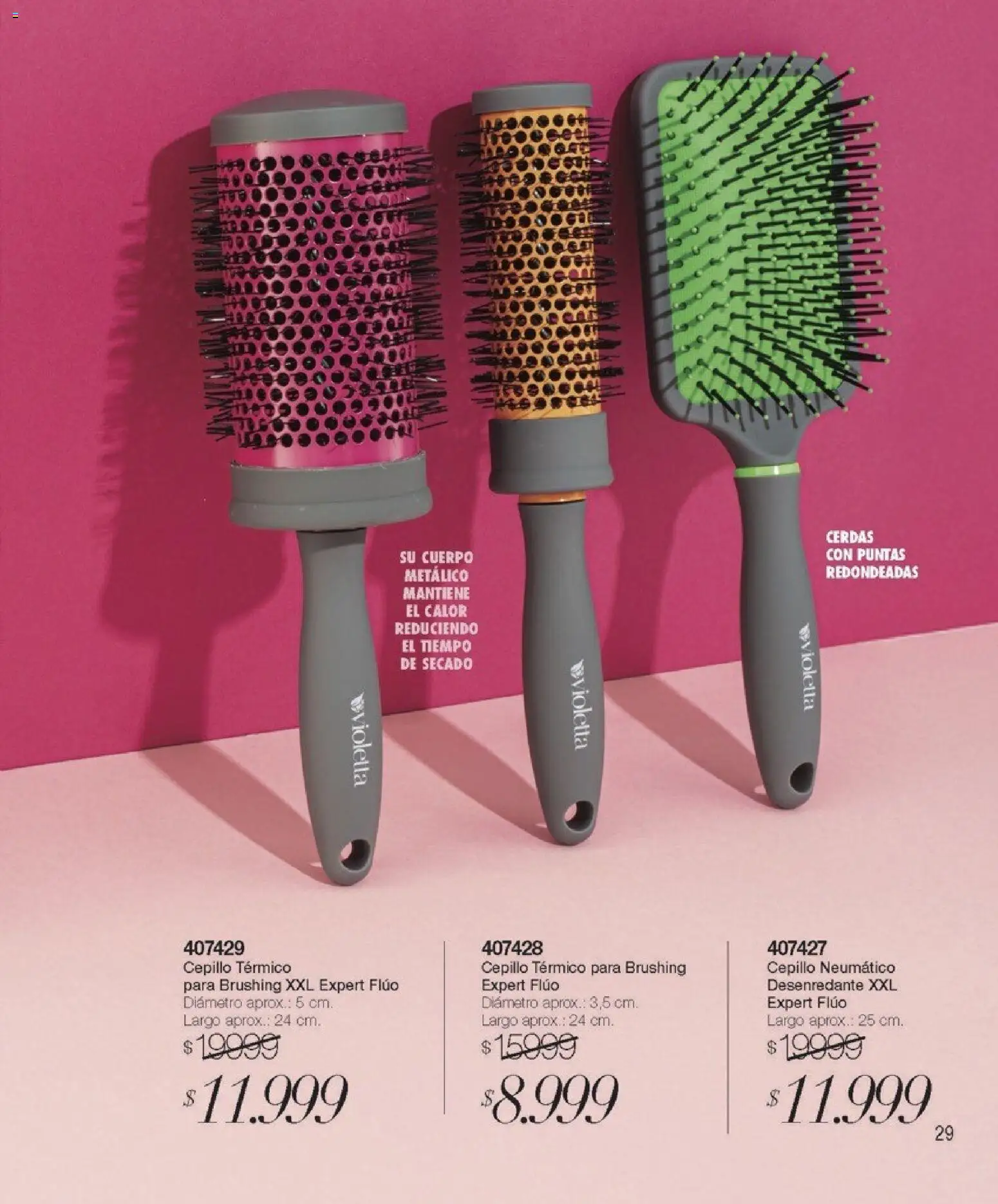 Violetta catálogo │ válido desde el 01.02.2026 | Página: 29 | Productos: Cepillo