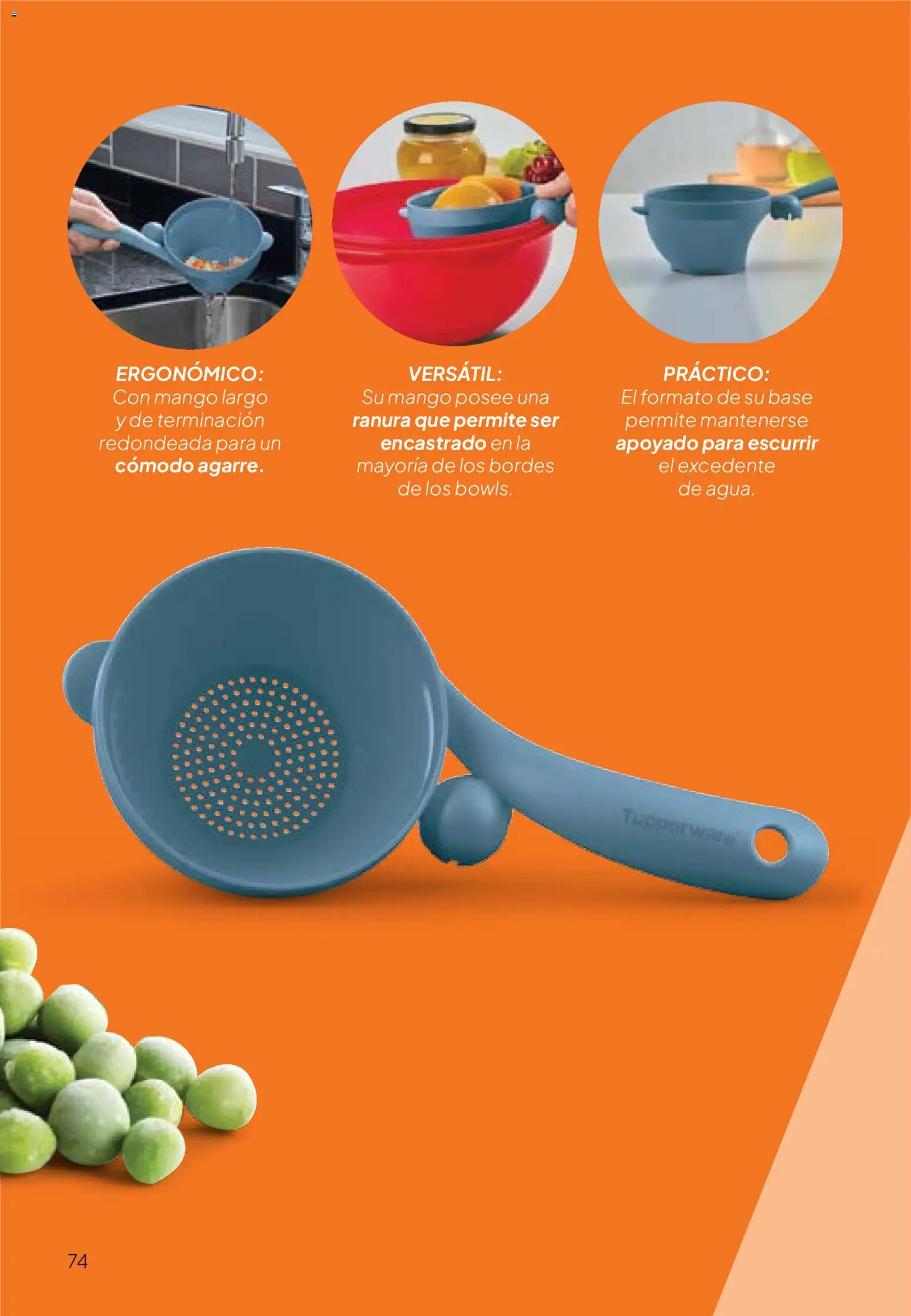 Tupperware Folleto │ válido desde el 24.11.2025 | Página: 75 | Productos: Mango
