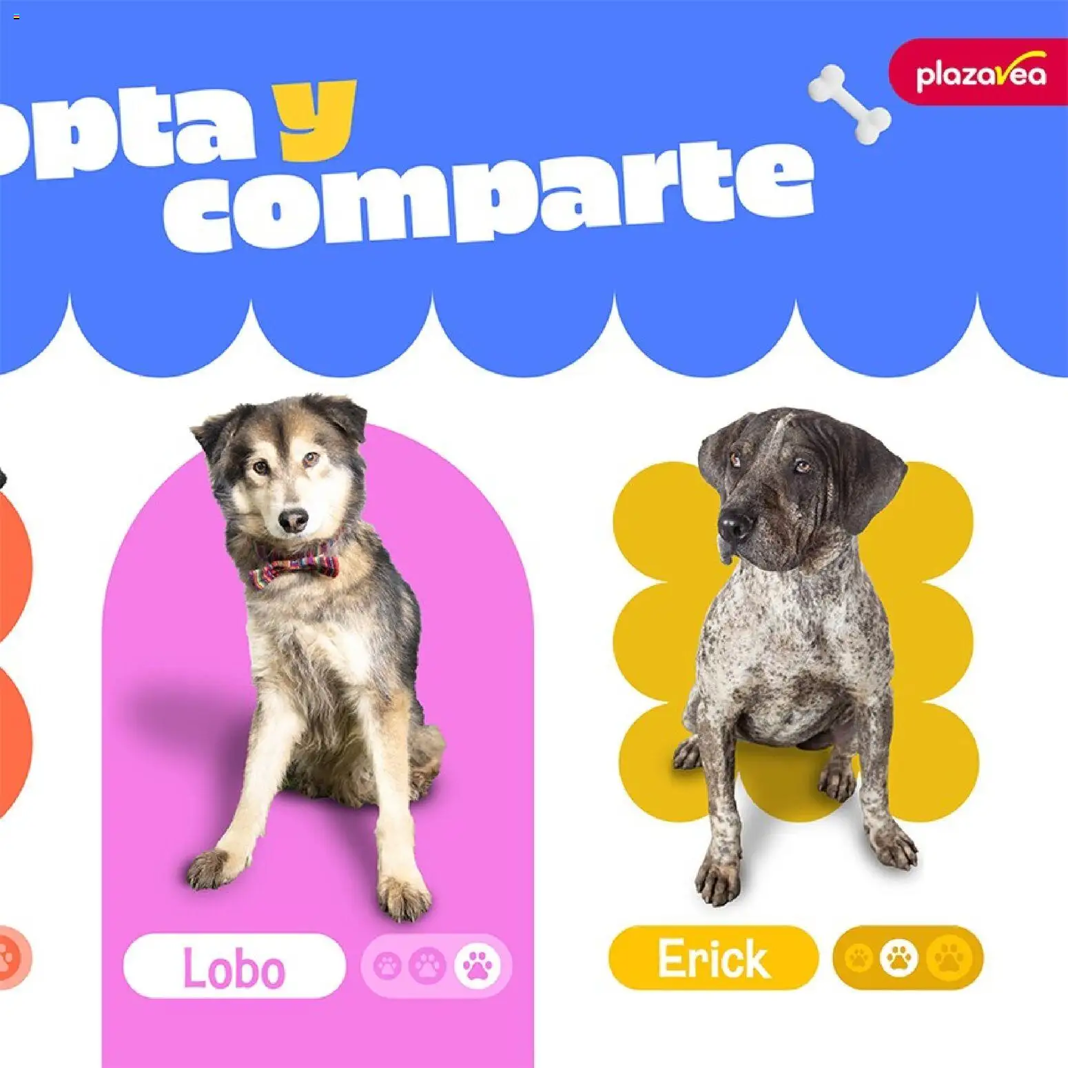 Catálogo Plaza Vea válido desde 02.01.2026 | Página: 3