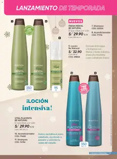 Vista previa de folleto Azzorti - Campaña C17 Plus /2025 de la Azzorti válido desde 15.10.2025 | Página: 73 | Productos: Shampoo, Acondicionador