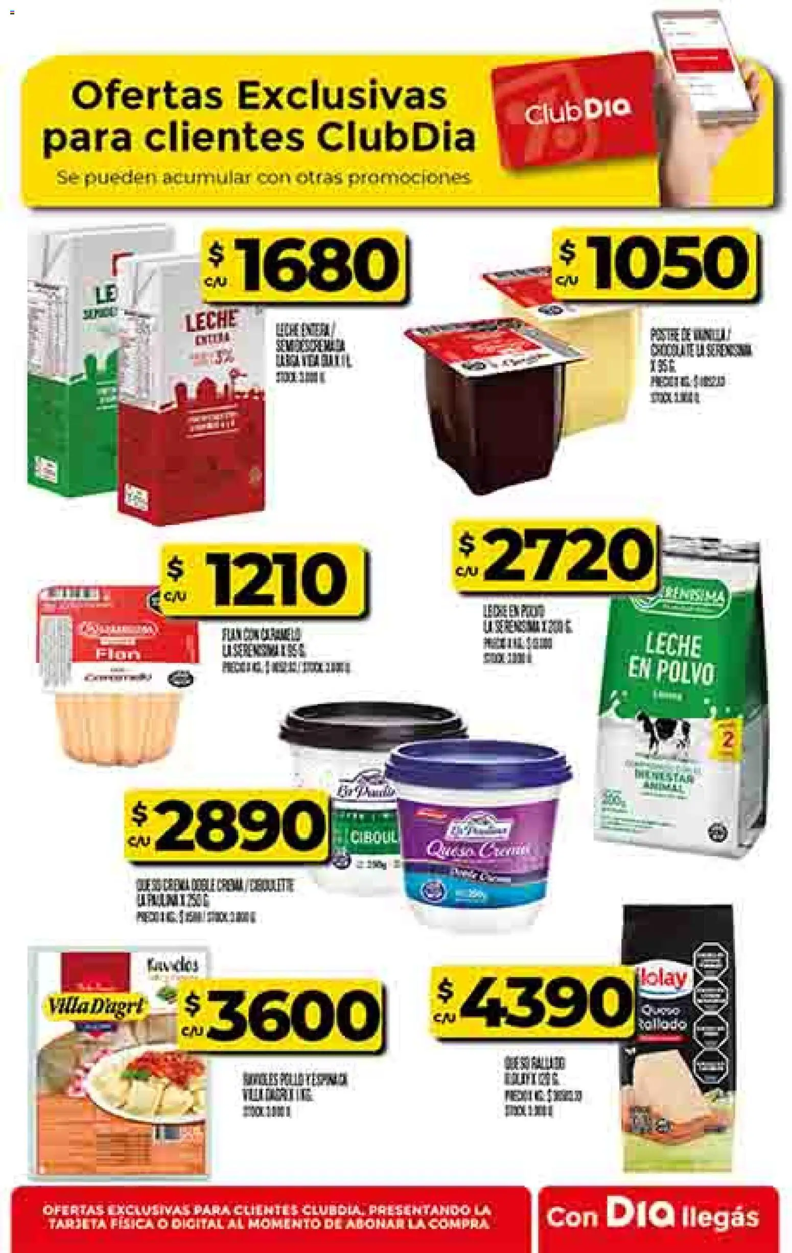 Supermercado DIA Ofertas │ válido desde el 22.04.2026 | Página: 27 | Productos: Polvo, Leche