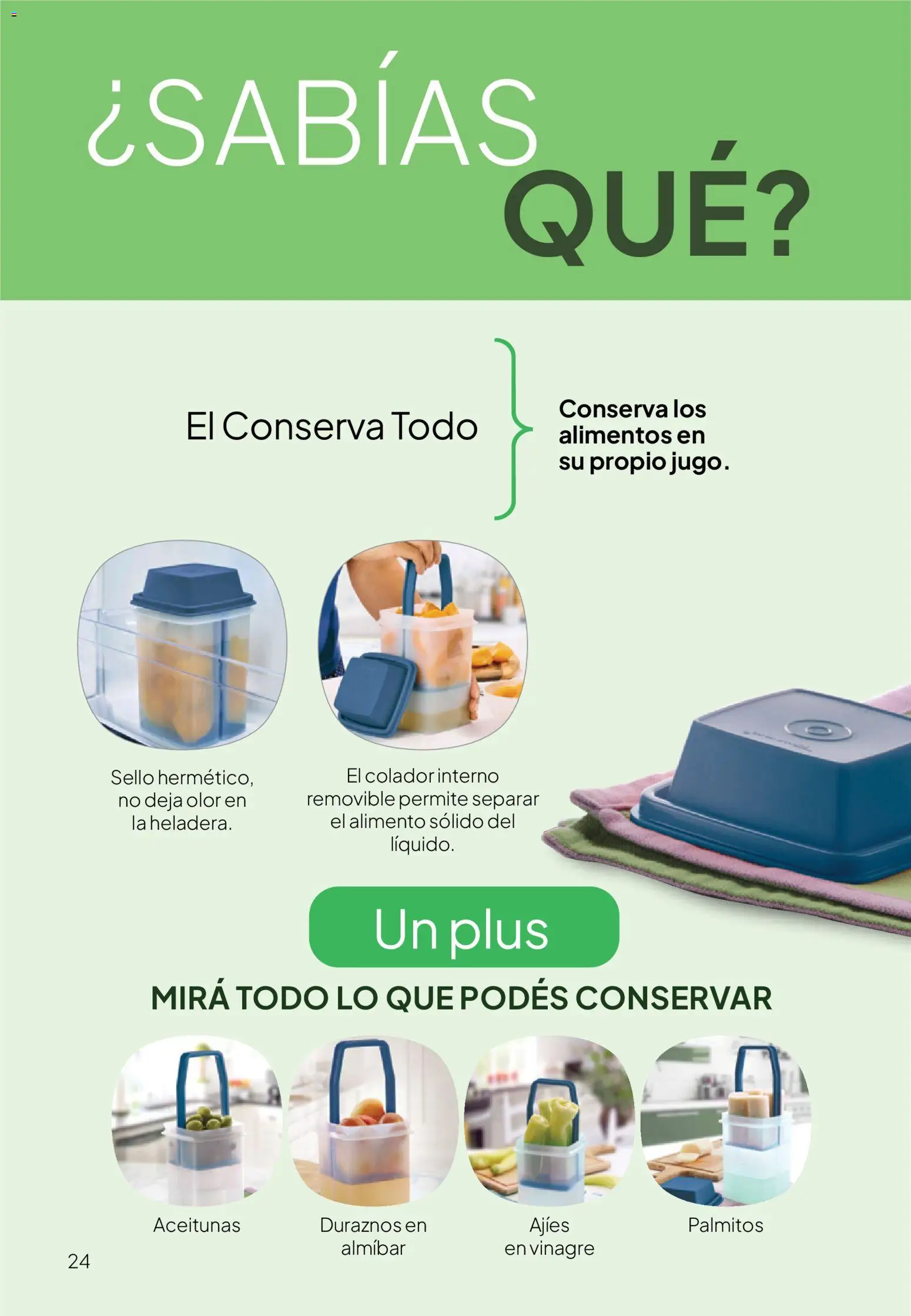 Tupperware Folleto │ válido desde el 09.12.2025 | Página: 25 | Productos: Vinagre, Aceitunas, Colador, Palmitos