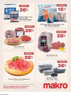 Makro - Catálogo -  Vista previa de la revista de la tienda Makro valido desde el 26.12.2025 | Página: 12