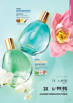 Vista previa de folleto Oriflame - Campaña 01 de la Oriflame válido desde 27.12.2025 | Página: 75