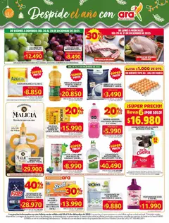 Ara - Ahorra con precios bajos y ofertas en la canasta familiar  -  Vista previa de la revista de la tienda Ara valido desde el 26.12.2025