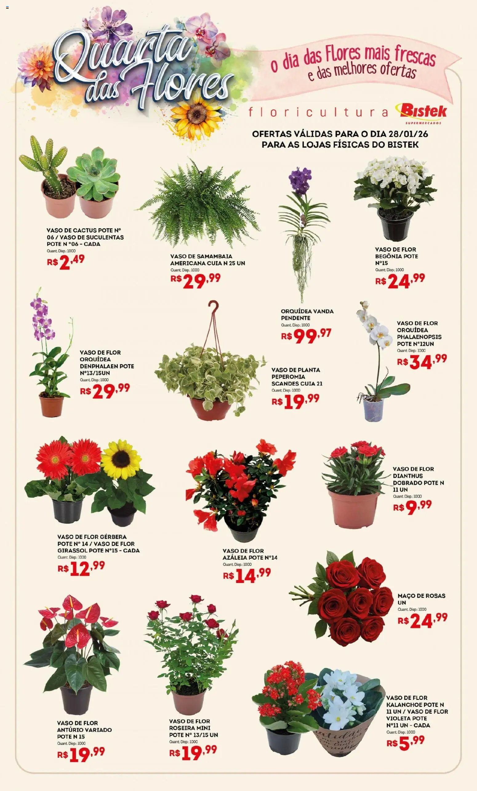 Bistek Supermercados Folheto - válido de 28.01.2026 | Página: 1 | Produtos: Denphalaen, Flores, Vaso