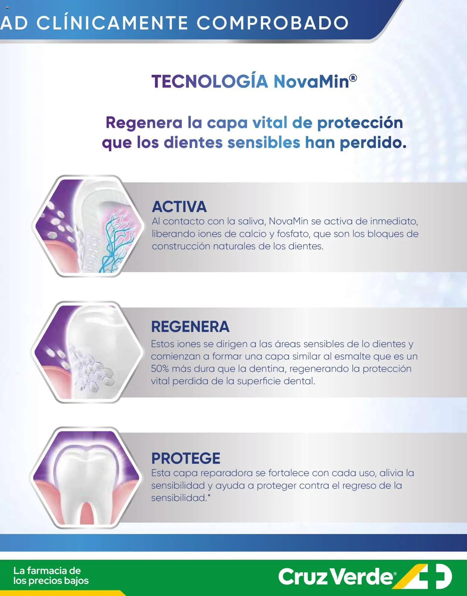 Bucal Pro Cruz Verde │ válido desde el 01.11.2025 | Página: 3