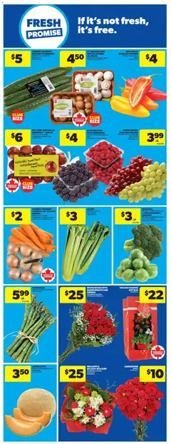 Preview of Real Canadian Superstore weekly flyer / circulaire from shop Real Canadian Superstore valid from 11.12.2025 | Page: 14 | Products: Cucumbers, PC, Bag, Apples