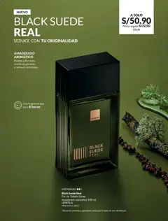 Vista previa de folleto Avon - Ciclo 01 de la Avon válido desde 01.01.2026 | Página: 74 | Productos: Aceite, Fragancia, EAU de Toilette