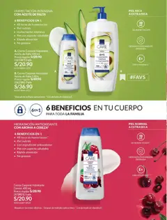 Vista previa de folleto Avon - Ciclo 19 de la Avon válido desde 01.12.2025 | Página: 149