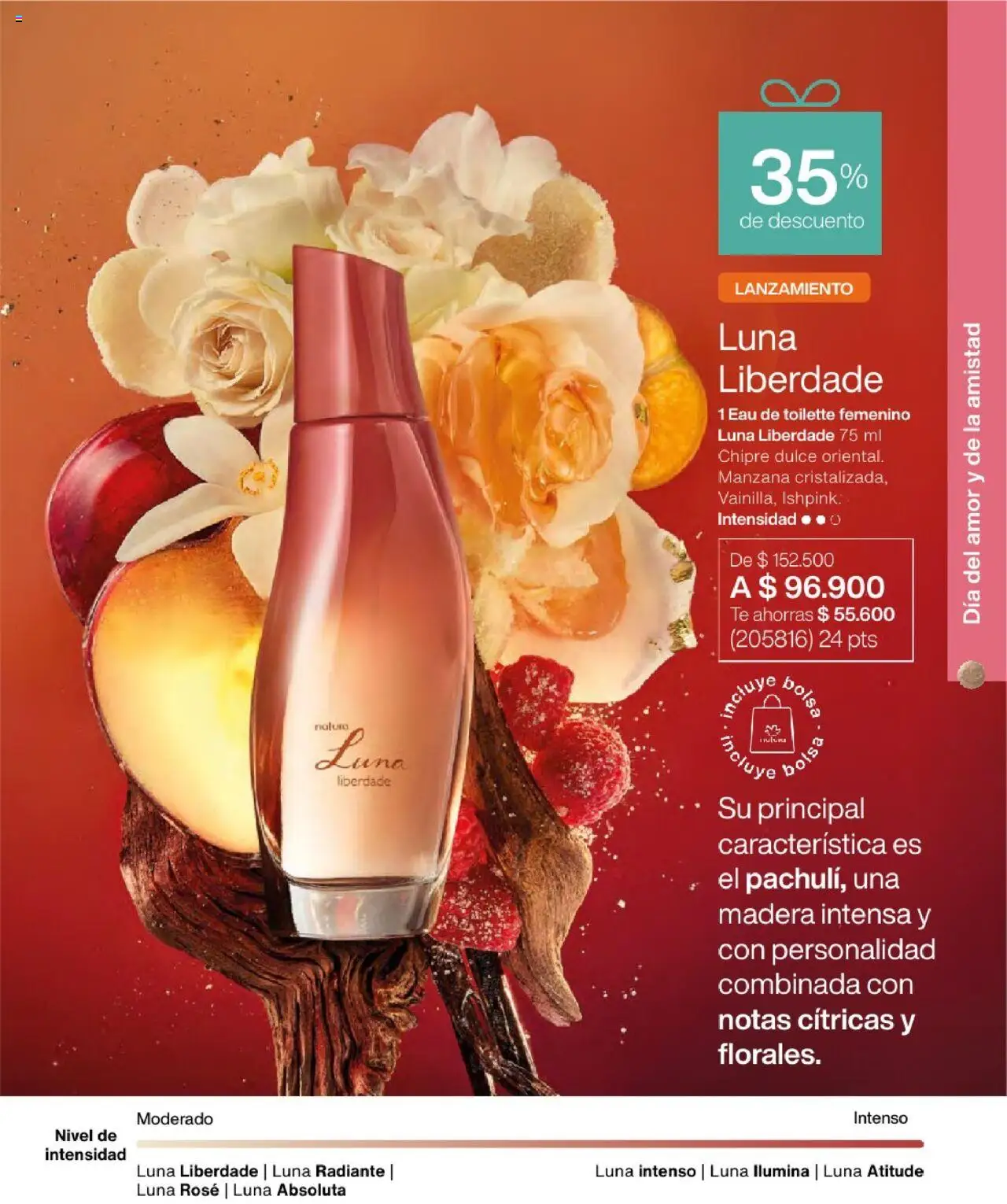 Natura revista - valida desde el 23.07.2025 | Página: 53 | Productos: Té, Manzana, Eau de toilette