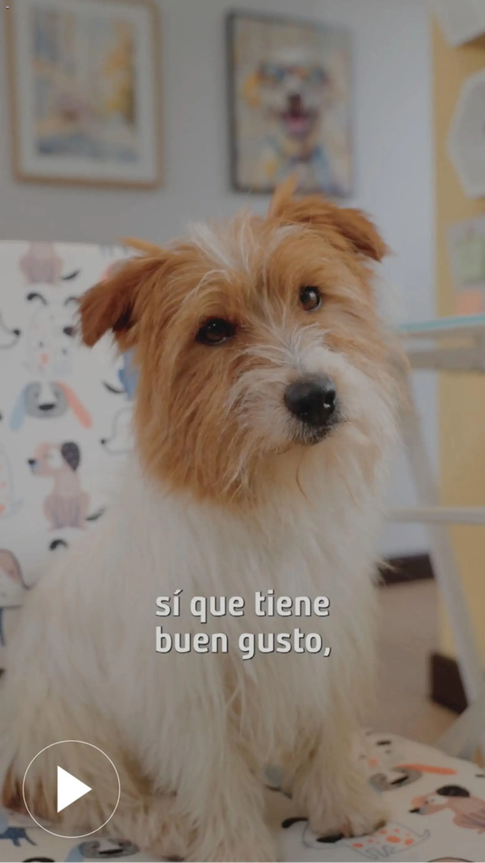 Homecenter revista - valida desde el 22.01.2026 | Página: 23