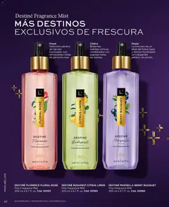 Vista previa de folleto L'Bel - Campaňa 6 de la L'Bel válido desde 04.04.2026 | Página: 22