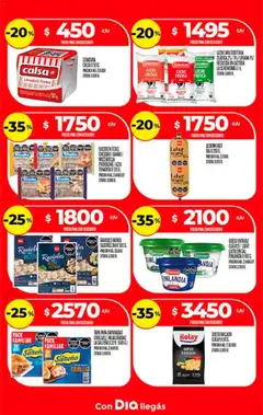 Vista previa Supermercado DIA Ofertas válido desde el 07.01.2026 | Página: 16 | Productos: Leche, Queso, Ravioles