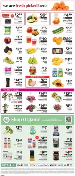 Preview of ShopRite weekly ads valid from 24.04.2026 | Page: 11
