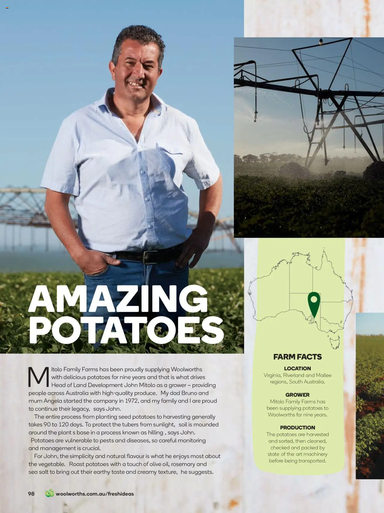 Woolworths catalogue - valid from 01.06.2025 | Page: 98 | Products: Plant, Potatoes, Soil, Salt
