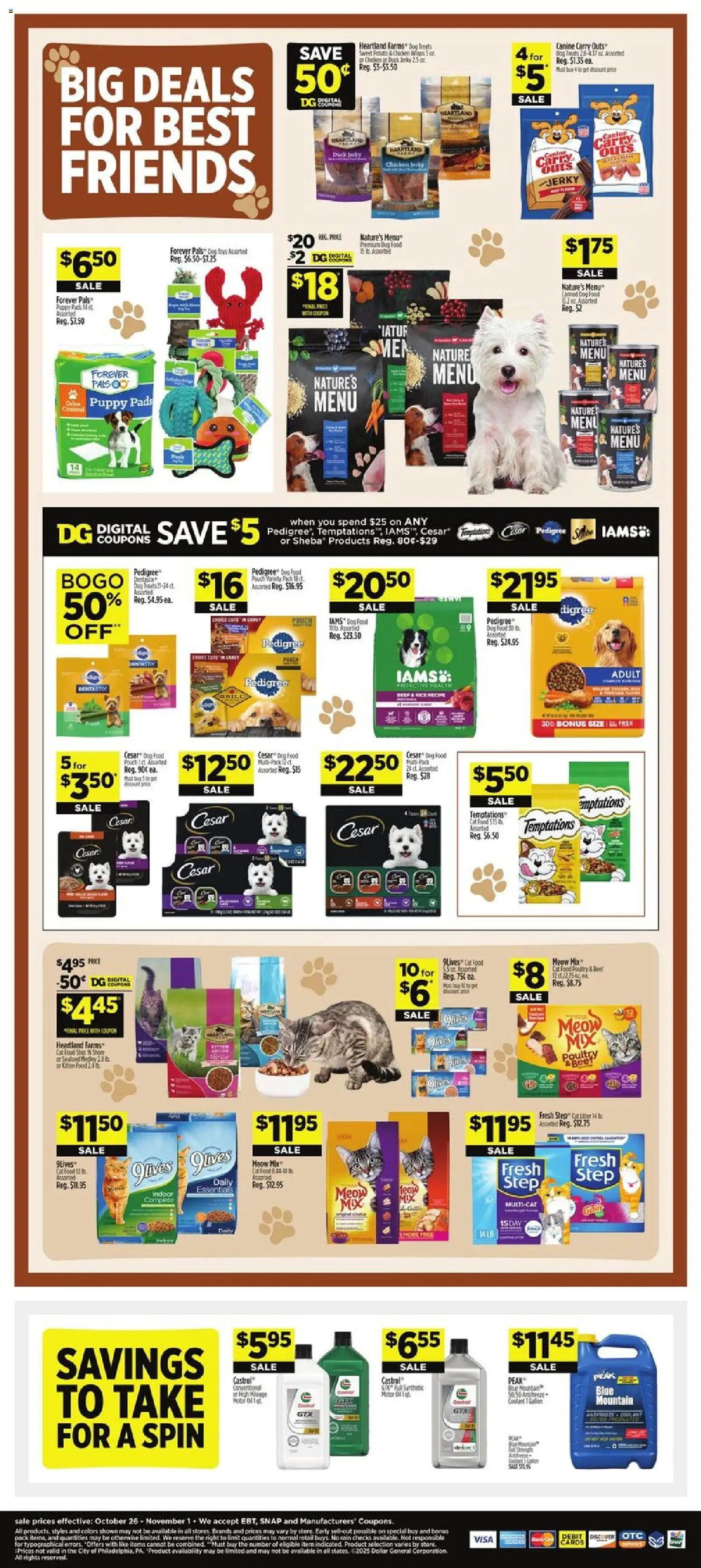 Dollar General Weekly Ad  - valid from 26.10.2025 | Page: 20