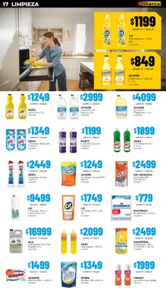 Vista previa Diarco ofertas válido desde el 13.10.2025 | Página: 17