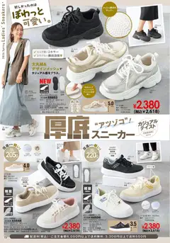 13.02.2026から有効なオファーを含む ヒラキ - チラシ | ページ: 20