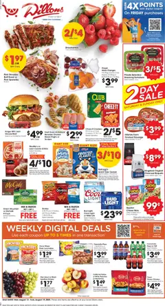 Preview of Dillons weekly ads valid from 13.08.2025