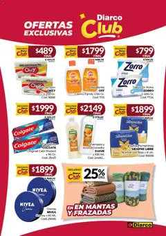 Diarco ofertas │ válido desde el 14.07.2025 | Página: 10