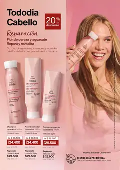 Natura - Catálogo Natura C02/2026 -  Vista previa de la revista de la tienda Natura valido desde el 01.02.2026 | Página: 135 | Productos: Aguacate, Crema, Shampoo, Acondicionador