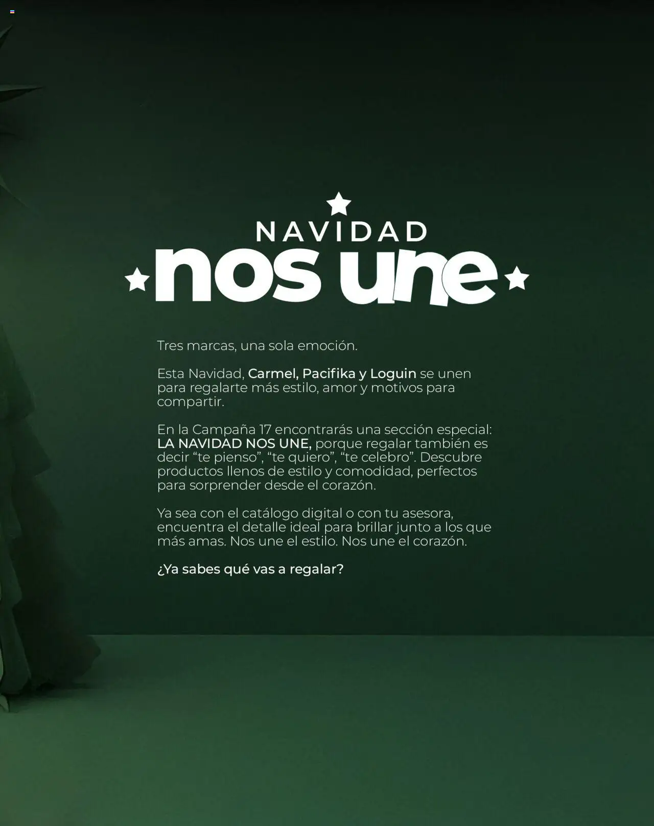 Carmel revista - valida desde el 25.09.2025 | Página: 163 | Productos: Té