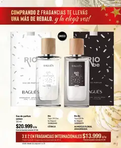 Vista previa Bagués - Catálogo válido desde el 17.11.2025 | Página: 25 | Productos: Té
