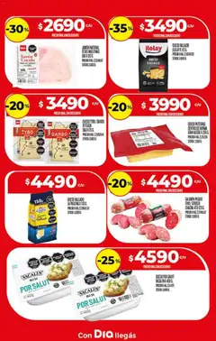 Vista previa Supermercado DIA Ofertas válido desde el 10.12.2025 | Página: 13