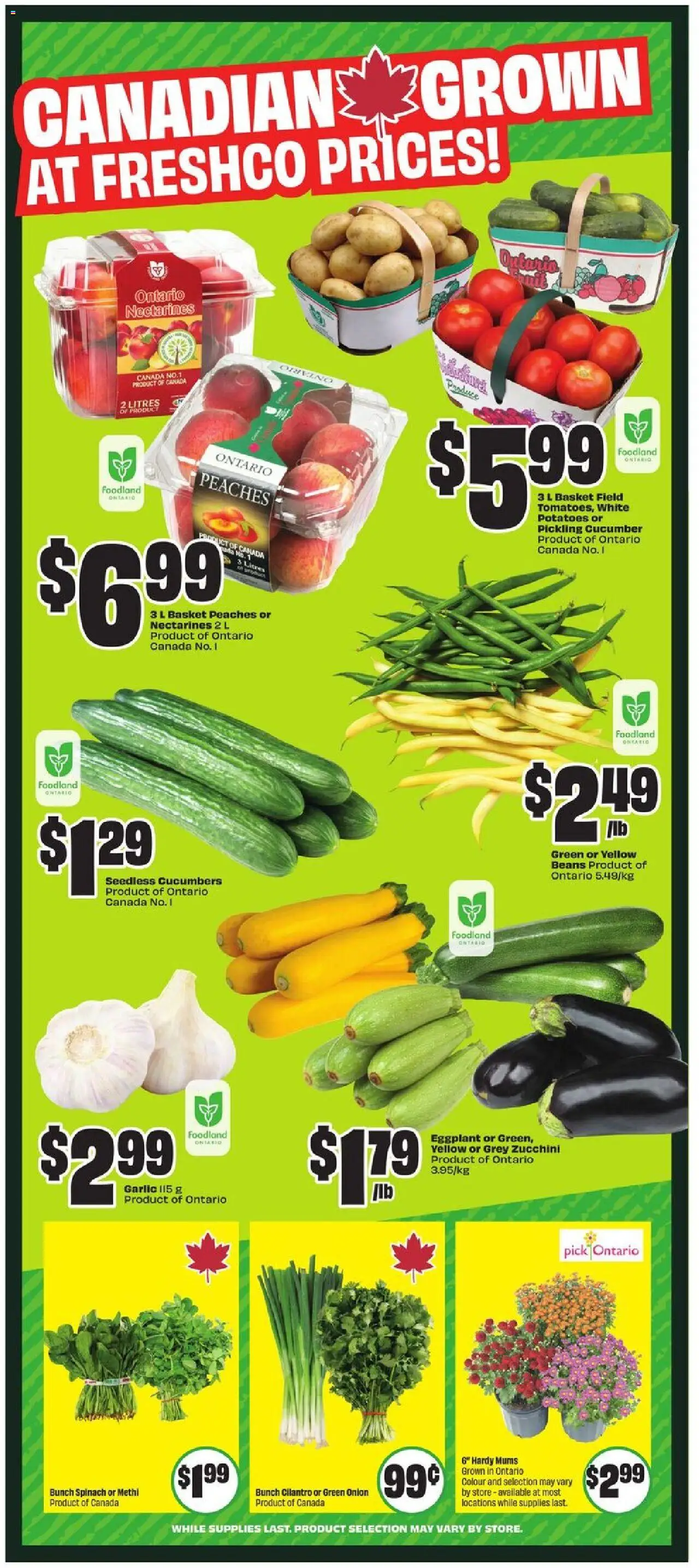 FreshCo flyer valid from 07.08.2025 | Page: 6
