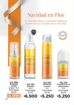 Vista previa Amodil - Campaña 18/2025 válido desde el 30.11.2025 | Página: 64 | Productos: Desodorante, Antitranspirante