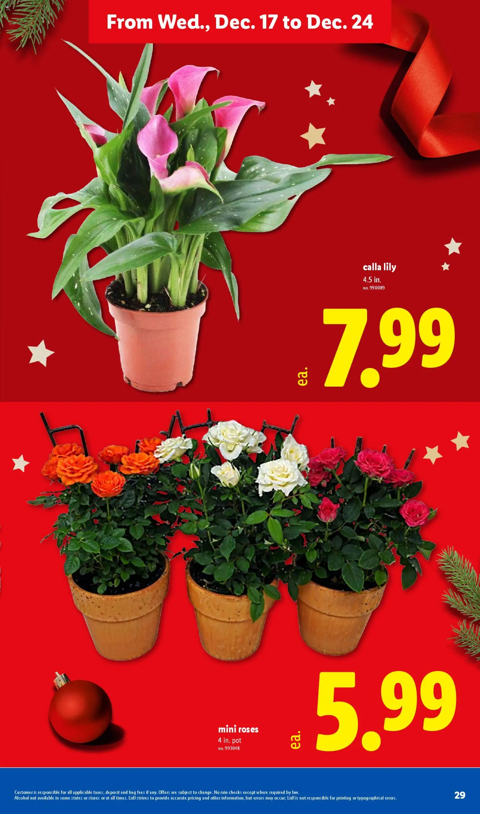 Lidl Weekly Ad - valid from 17.12.2025 | Page: 29 | Products: Bag