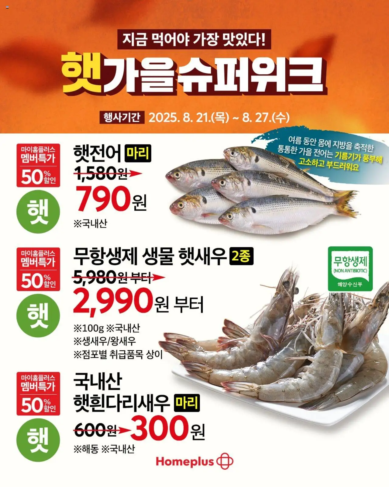  | 페이지: 5