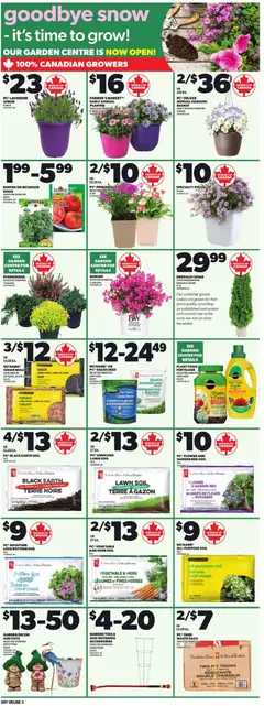 Preview of Loblaws weekly flyer / circulaire from shop Loblaws valid from 23.04.2026 | Page: 12 | Products: Bag, Bed, Basket