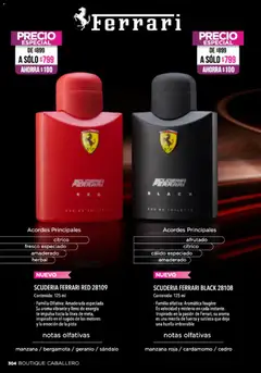 Vista previa de Ilusión catálogo Primavera, nuevo folleto de la tienda, válido en México a partir del 01.04.2026 | Página: 306 | Productos: Manzana, Té, Eau de toilette